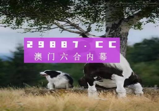 澳门开奖最快的资料解析与探索，澳门开奖资料解析与探索，快速解读开奖秘密