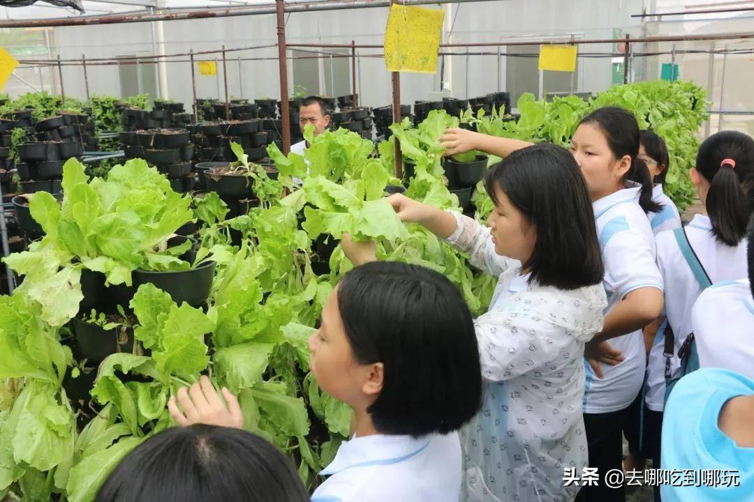 揭秘罗浮山门票价格——探寻自然美景的入场券，罗浮山门票价格揭秘，自然美景的入场门槛探究