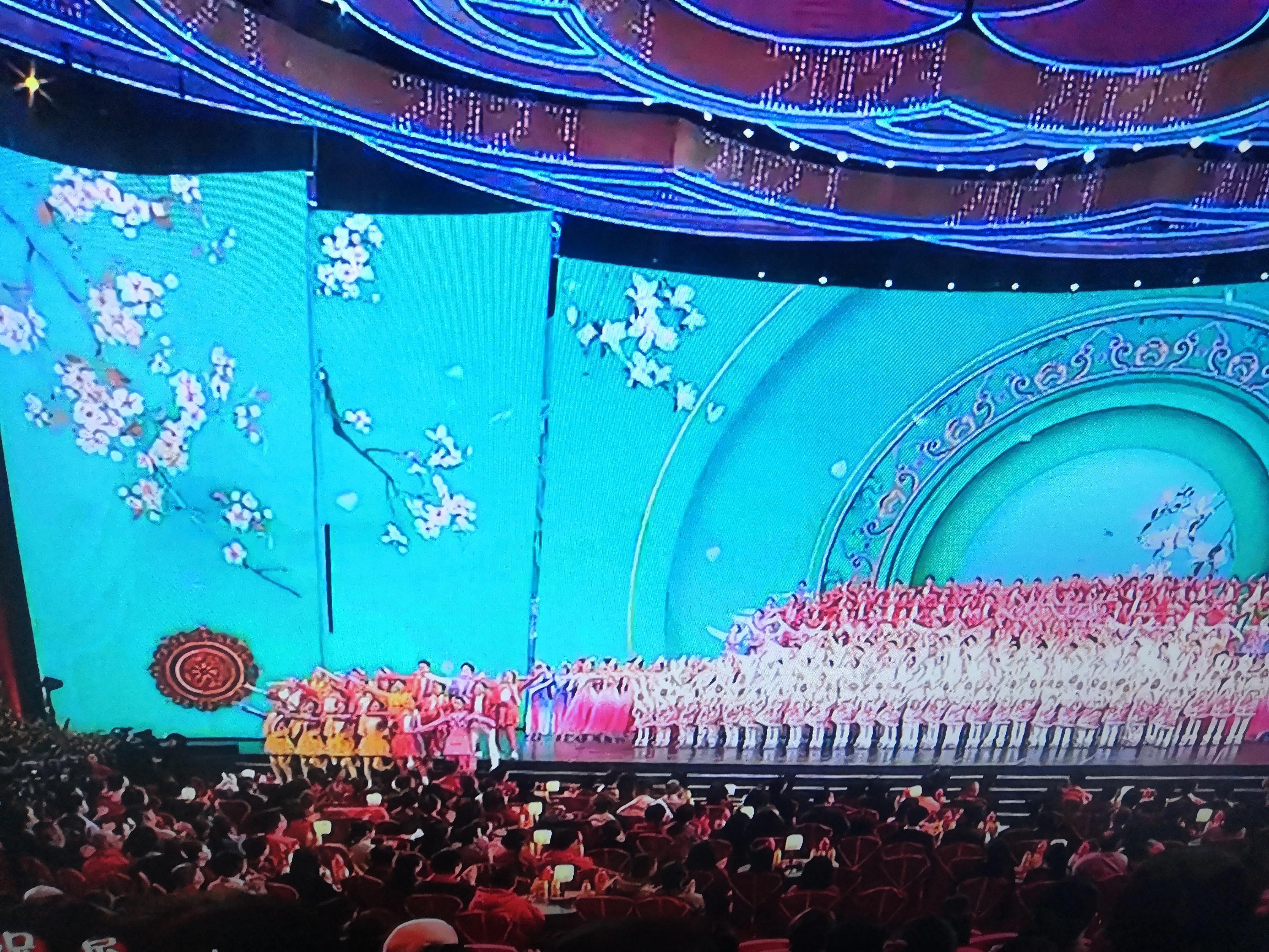中央春晚2024节目榜单，展望璀璨星夜的文化盛宴，中央春晚2024节目榜单，璀璨星夜文化盛宴展望