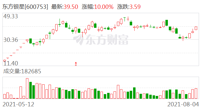 东方银星股票（股票代码，600753）深度解析，东方银星股票（股票代码600753）全面深度解析