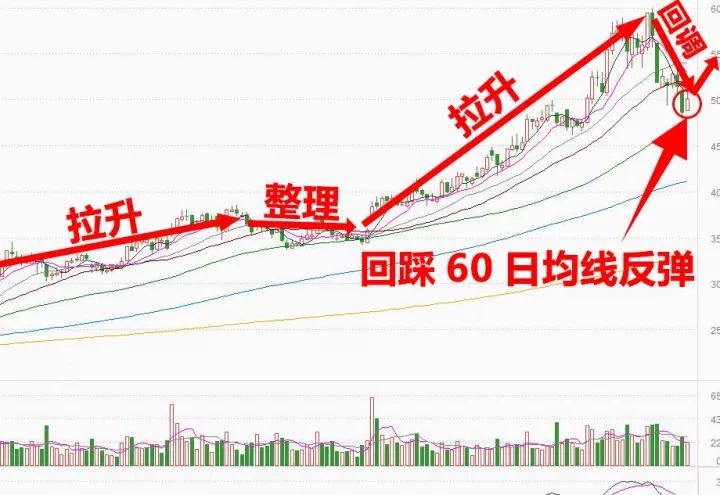 散户牛股群，探索股市中的独特现象，散户牛股群，股市独特现象的深度探索