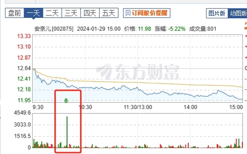 安奈儿股票股吧，深度解析与前景展望，安奈儿股票深度解析与前景展望，股吧热议话题揭秘