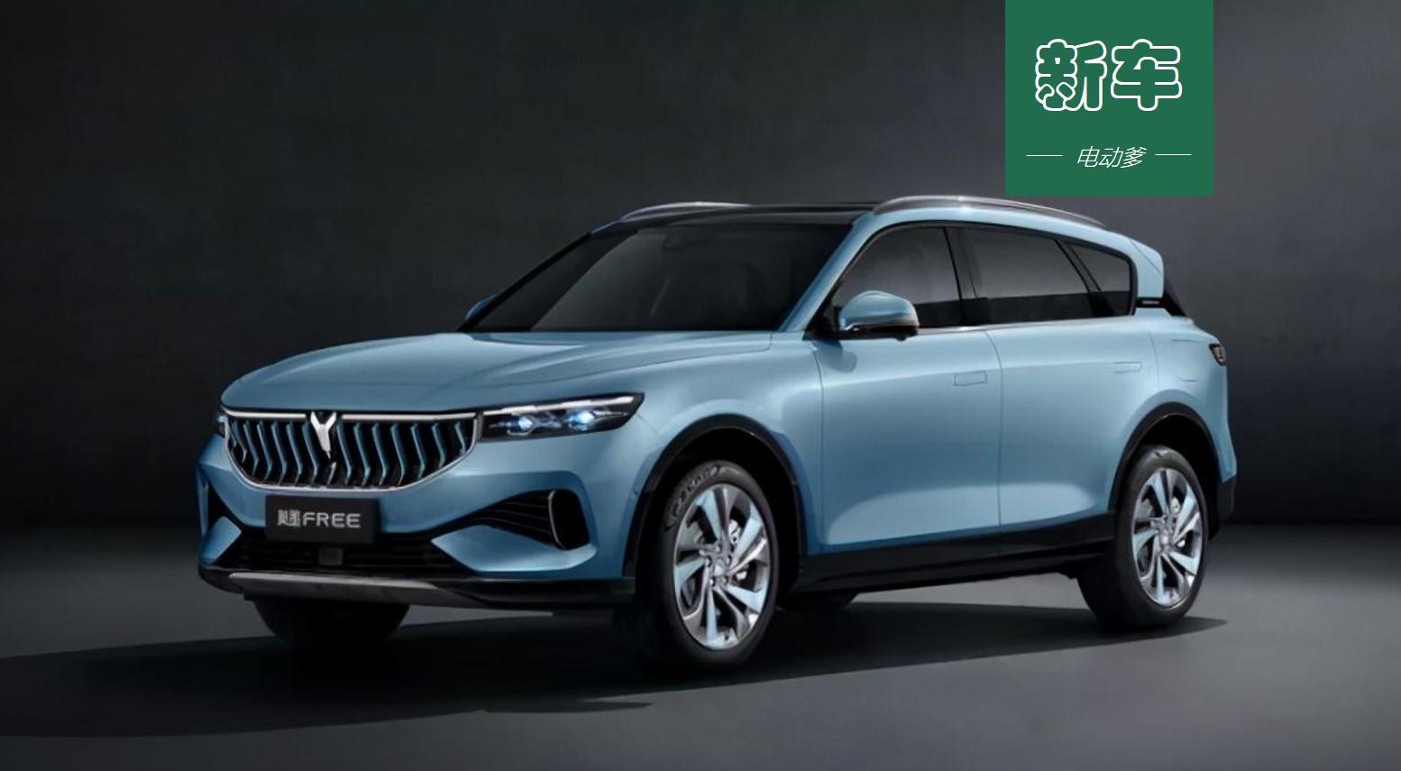 东风31维基百科介绍，东风31导弹的维基百科介绍