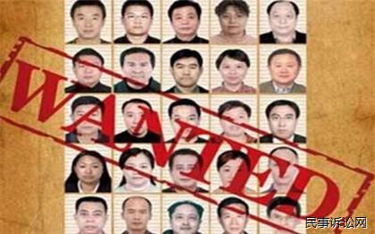 间谍王某个人资料揭秘，揭秘间谍王某的个人资料档案