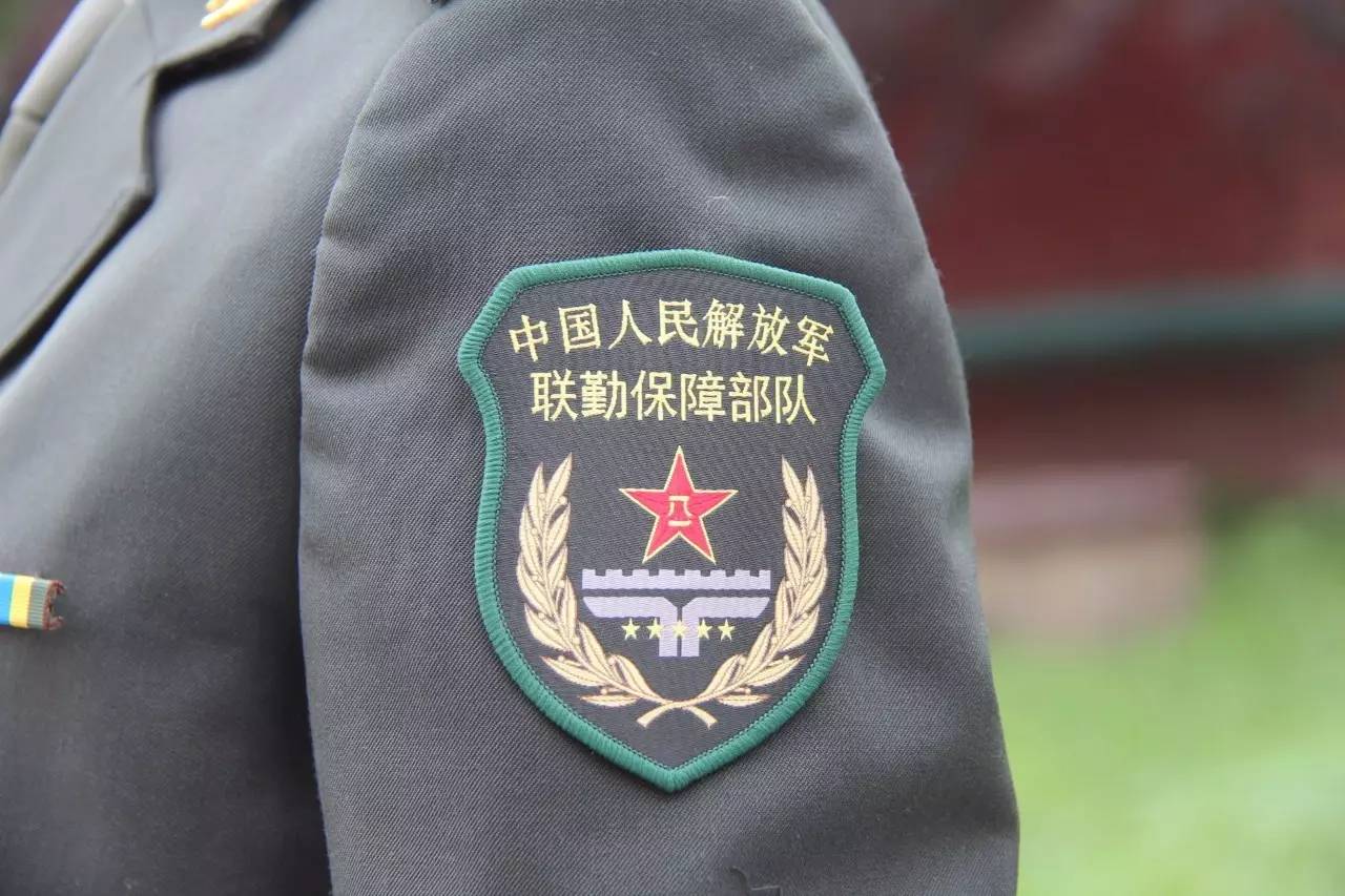 联勤保障中心臂章，荣誉的象征与职责的承载，联勤保障中心臂章，荣誉与职责的象征
