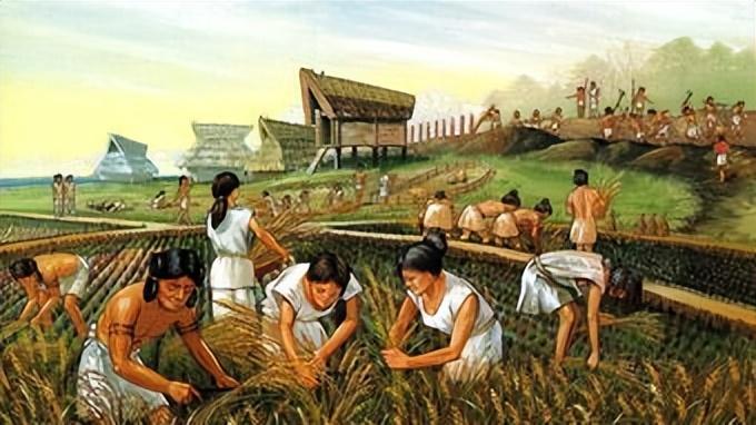 CCTV军事农业频道分道发展的战略考量与未来展望，CCTV军事农业频道分道发展的战略考量及未来展望分析