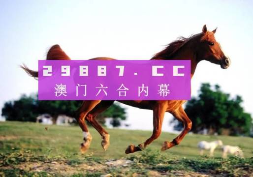 澳门一肖一码一一子，探索背后的神秘与文化内涵，澳门一肖一码背后神秘与文化内涵揭秘