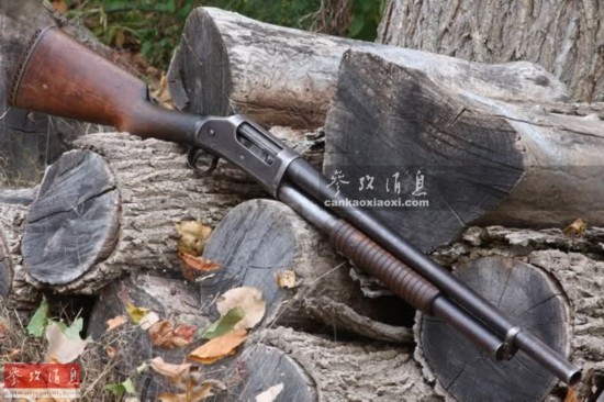探索与解析（或揭秘）