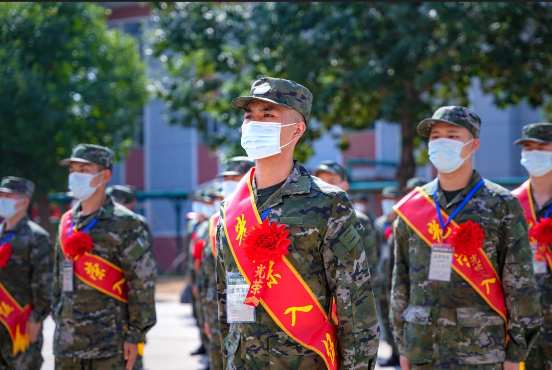 原因深度解析