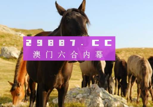 管家婆一肖一码澳门码资料，深度解析与探索，澳门管家婆一肖一码资料深度解析与探索