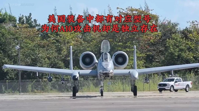 中国版A10疣猪，探索与解析，中国版A10疣猪深度探索与解析