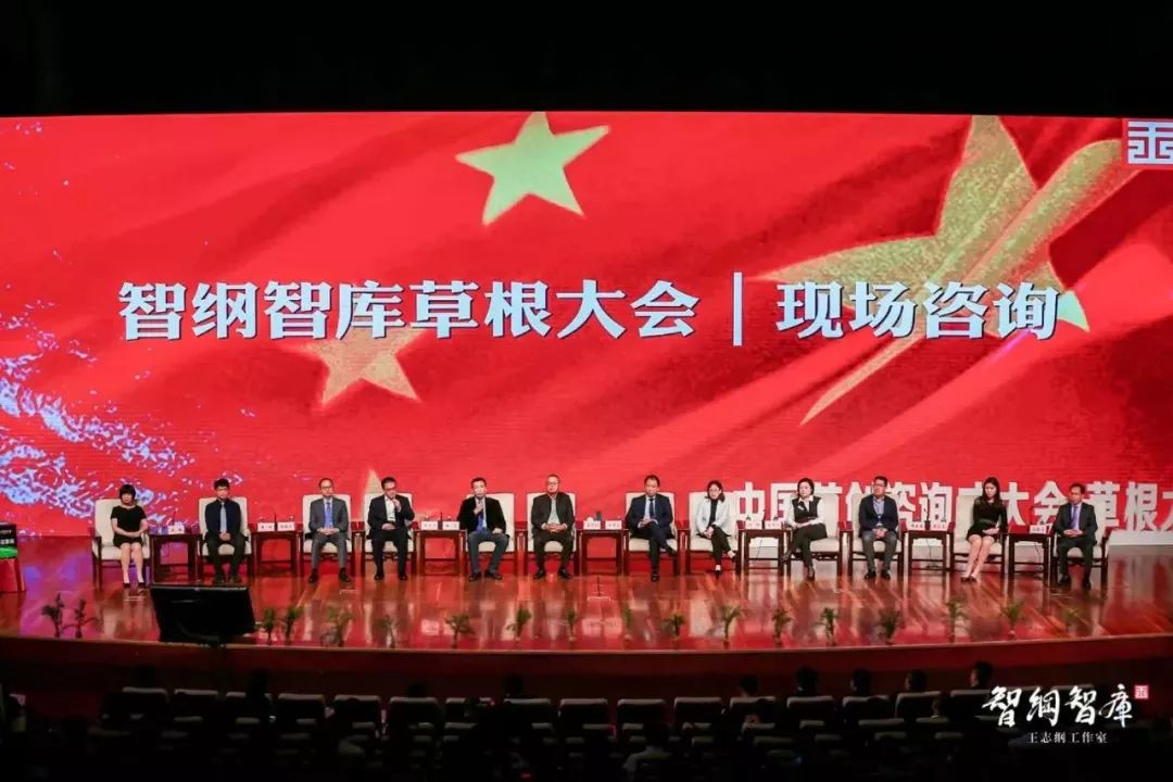 草根民间智库，智慧之泉涌动的新时代力量，草根民间智库，智慧之泉的新时代力量涌动