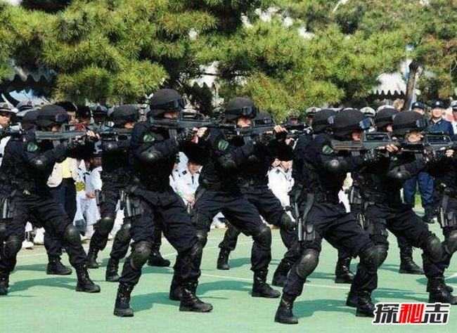中国特种部队排名图片大全，中国特种部队排名图片概览