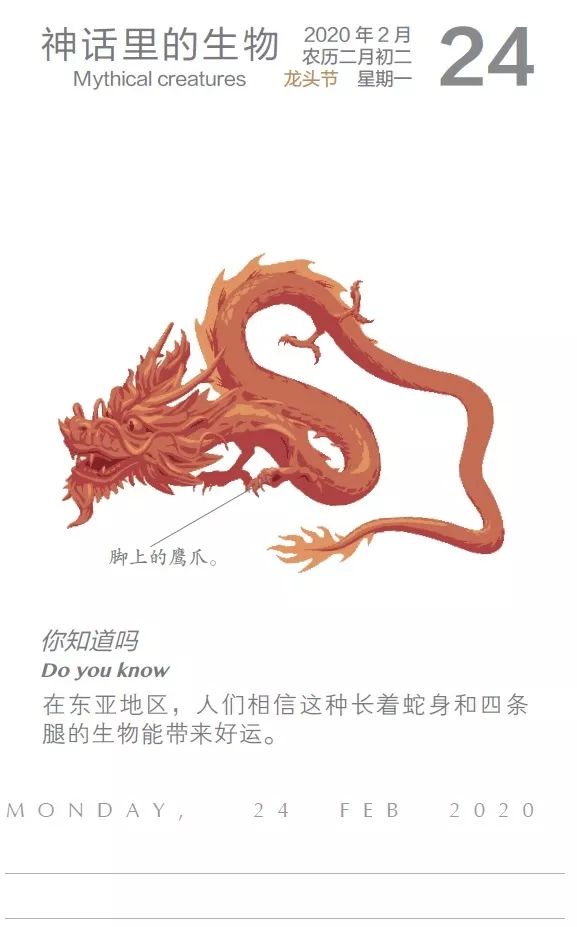 背后的故事与奥秘