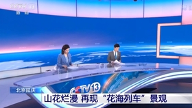 中央新闻台在线直播与CCTV-13，传递最新资讯的媒介，CCTV-新闻台在线直播与CCTV-13传递实时新闻资讯