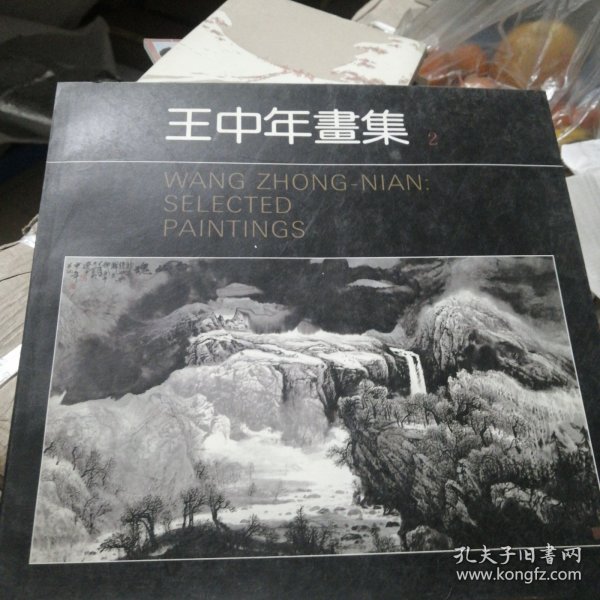 金年资料王中王一肖中的奥秘与价值，金年资料王中王揭秘一肖奥秘与价值探索