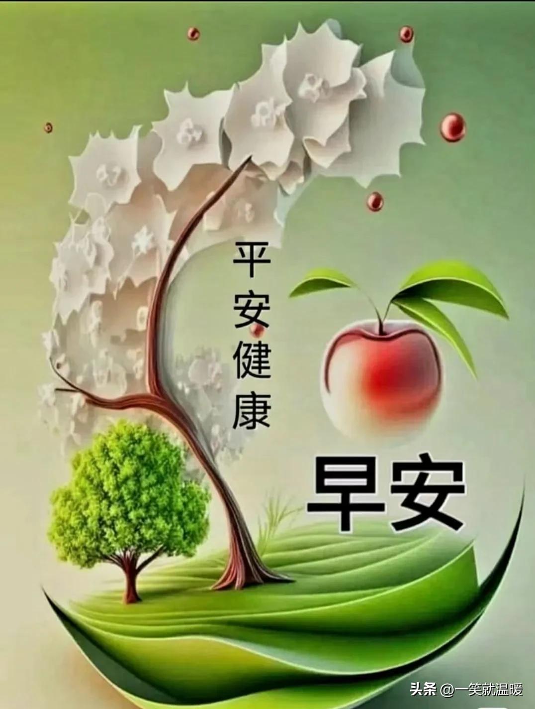 歼-20战斗机数量在2023年的最新动态，歼-20战斗机数量最新动态揭晓，2023年最新进展报告出炉