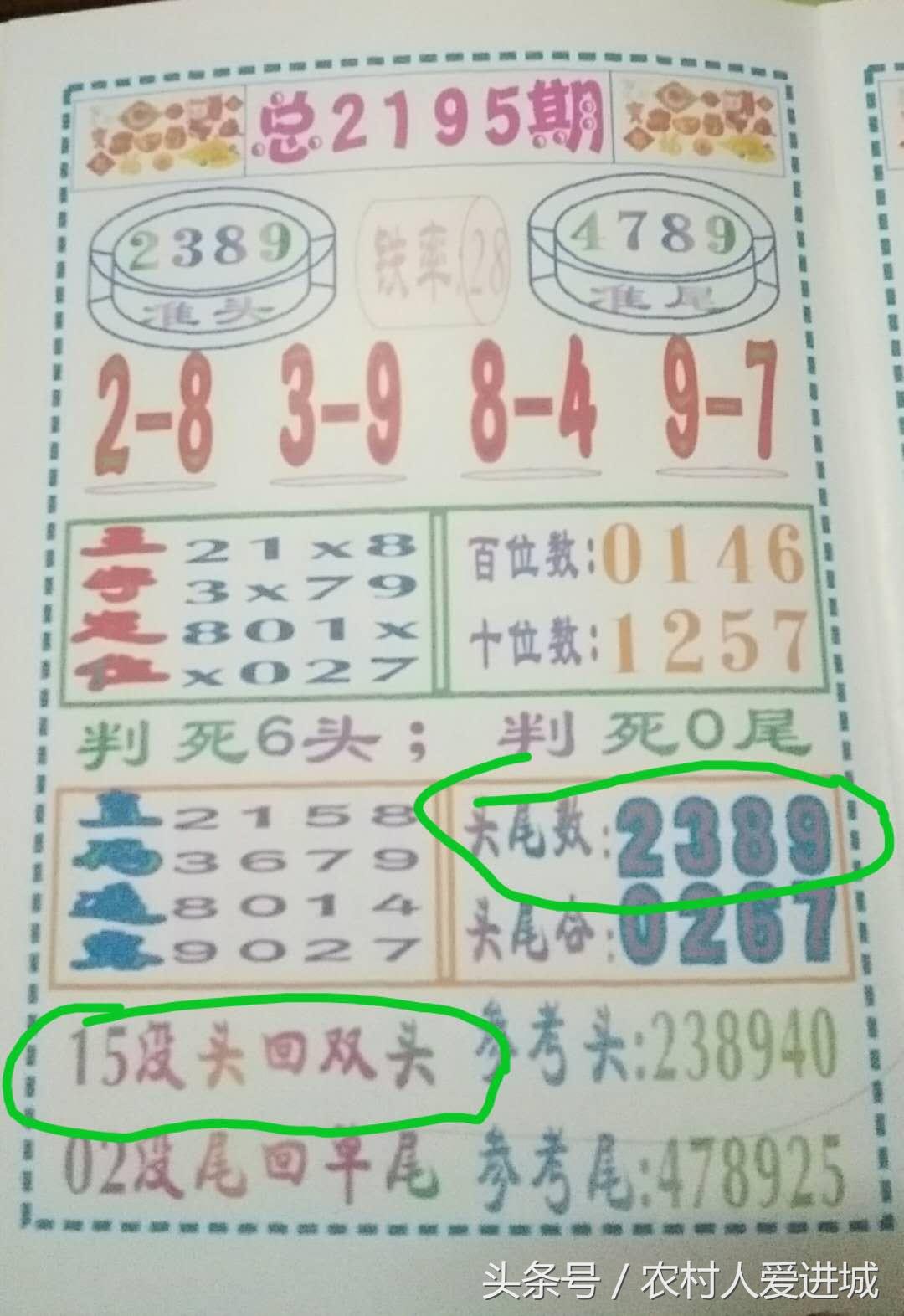 新澳门一肖中100期期准，探索与揭秘，探索与揭秘，新澳门一肖中100期期准的秘密
