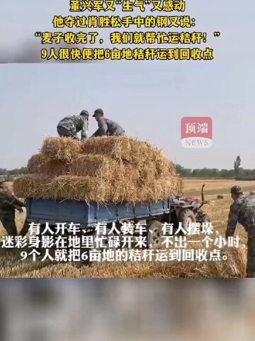 肖思远偷偷收麦子的故事，勤劳与智慧的交织，勤劳与智慧，肖思远秘密收割麦子的故事
