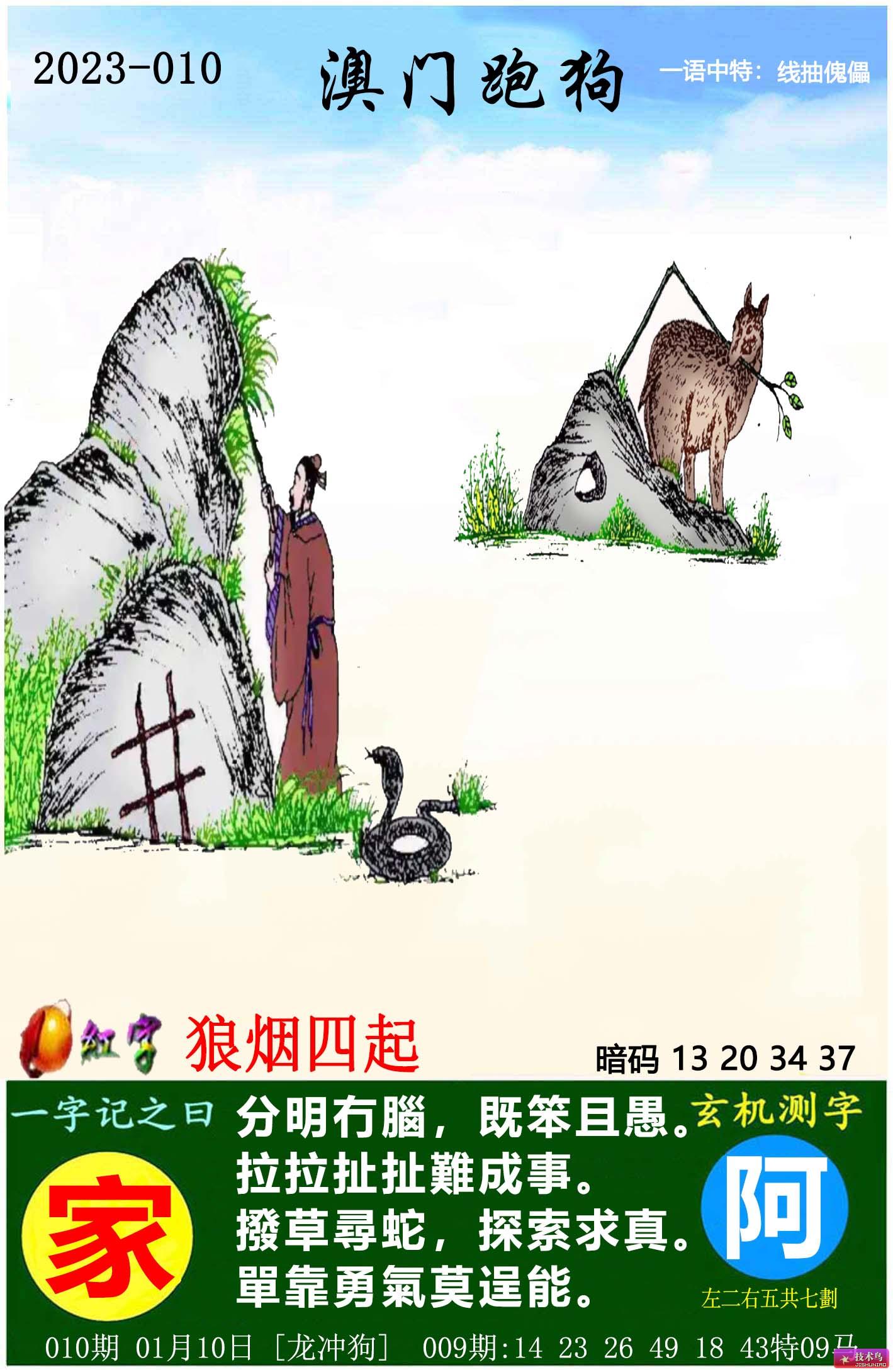 澳门今天新版跑狗图，探索与解读，澳门今日新版跑狗图深度解读与探索