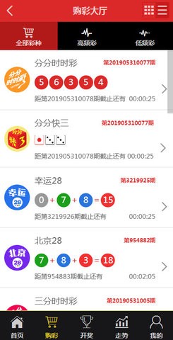 王中王一肖中特WWW1315C，探索与解析，王中王一肖中特WWW1315C，深度探索与解析