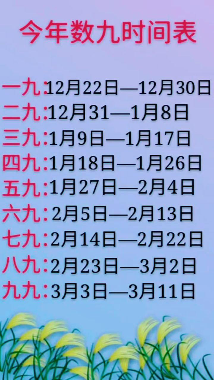 今日几九，时光流转中的节气与生活，时光流转中的节气与生活，今日几九？