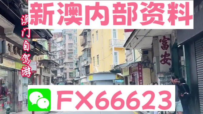 新澳精准资料免费提供的价值与影响力，新澳精准资料免费提供的价值及其影响力
