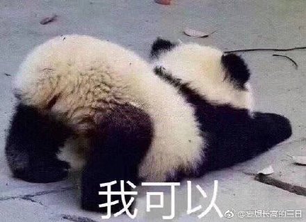 澳门今晚必开一肖一特四不像——探索与解析，澳门今晚必开一肖一特四不像，深度解析与预测