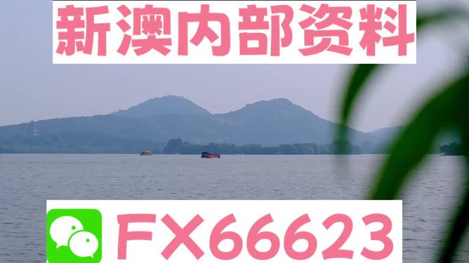新澳今天最新免费资料解析与探索，新澳今日免费资料解析与深度探索