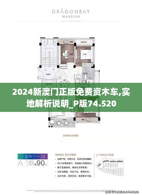 探索澳门未来，新澳门正版免费资讯与木车文化之旅，澳门未来探索之旅，正版资讯与木车文化深度体验