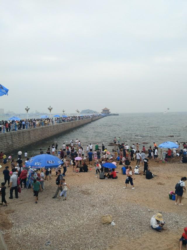 深度解析与对比