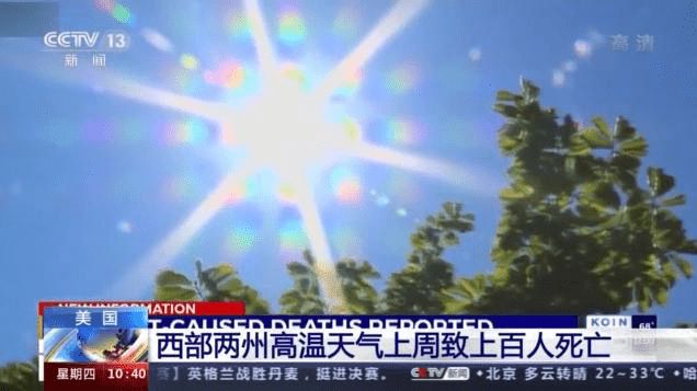 国际气象观察，全球气候变化的监测与应对，全球气候变化监测与应对策略，国际气象观察分析