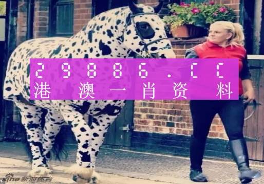 澳门王中王与一肖中特资料深度解析，澳门王中王与一肖中特资料深度剖析