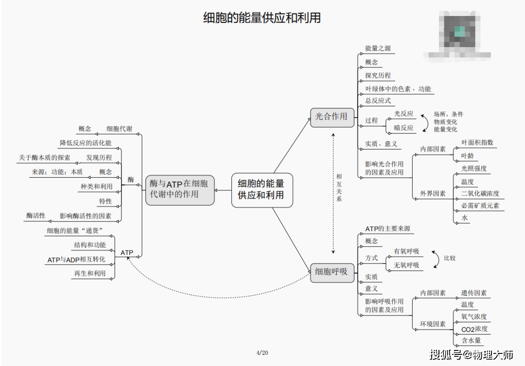 刘伯温四肖三期必一之奥秘探究，刘伯温四肖三期必一之奥秘深度解析
