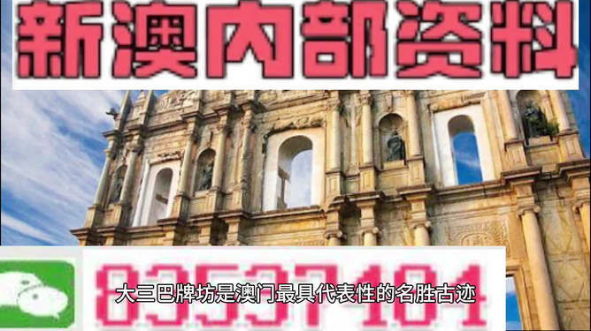 新澳门天天资料，探索与解读，新澳门天天资料，深度探索与解读