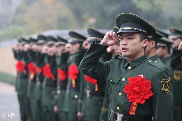 深入了解2023年退伍士兵政策，2023年退伍士兵政策深度解析