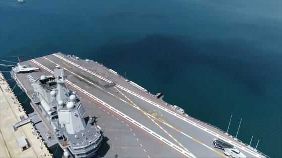 卓越贡献概览