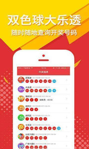 王中王白小姐四肖选一码，揭秘彩票背后的秘密与策略，揭秘彩票背后的秘密与策略，王中王白小姐四肖选一码解析