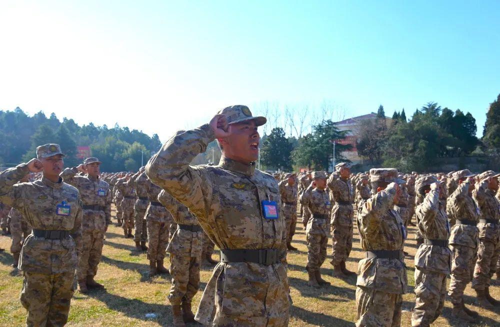 揭秘71集团军新兵连所在地，传承与荣耀的集结地，揭秘荣耀传承之地，71集团军新兵连所在地