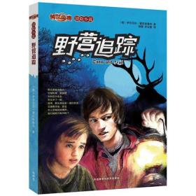天涯论坛悬疑冒险小说，揭开迷雾，追寻真相，天涯论坛悬疑冒险小说，迷雾真相追寻记