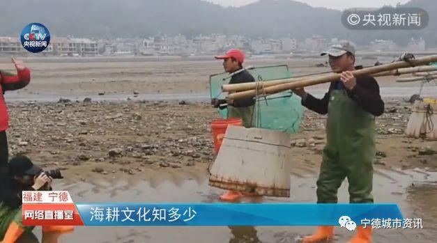 CCTV新闻直播，传递实时信息，展现时代风貌，CCTV新闻直播，实时传递时代风貌，展现时代变迁