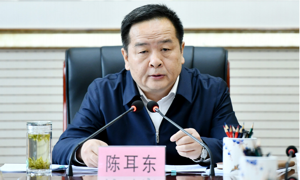 陈耳东，一位引领时代的杰出人物，陈耳东，时代引领者的杰出风采