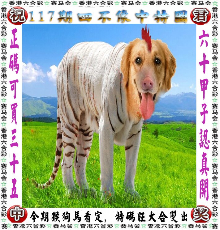 林中之王王中王——揭秘生肖之王的神秘面纱，揭秘生肖之王，森林霸主背后的神秘面纱