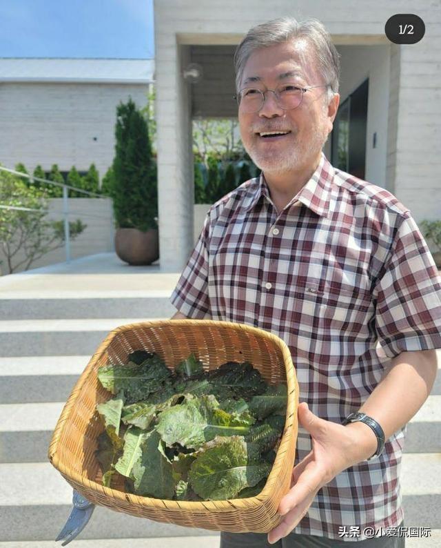 文在寅的最新情况，探索前沿动态与个人成就，文在寅的最新动态，前沿探索与个人成就概览