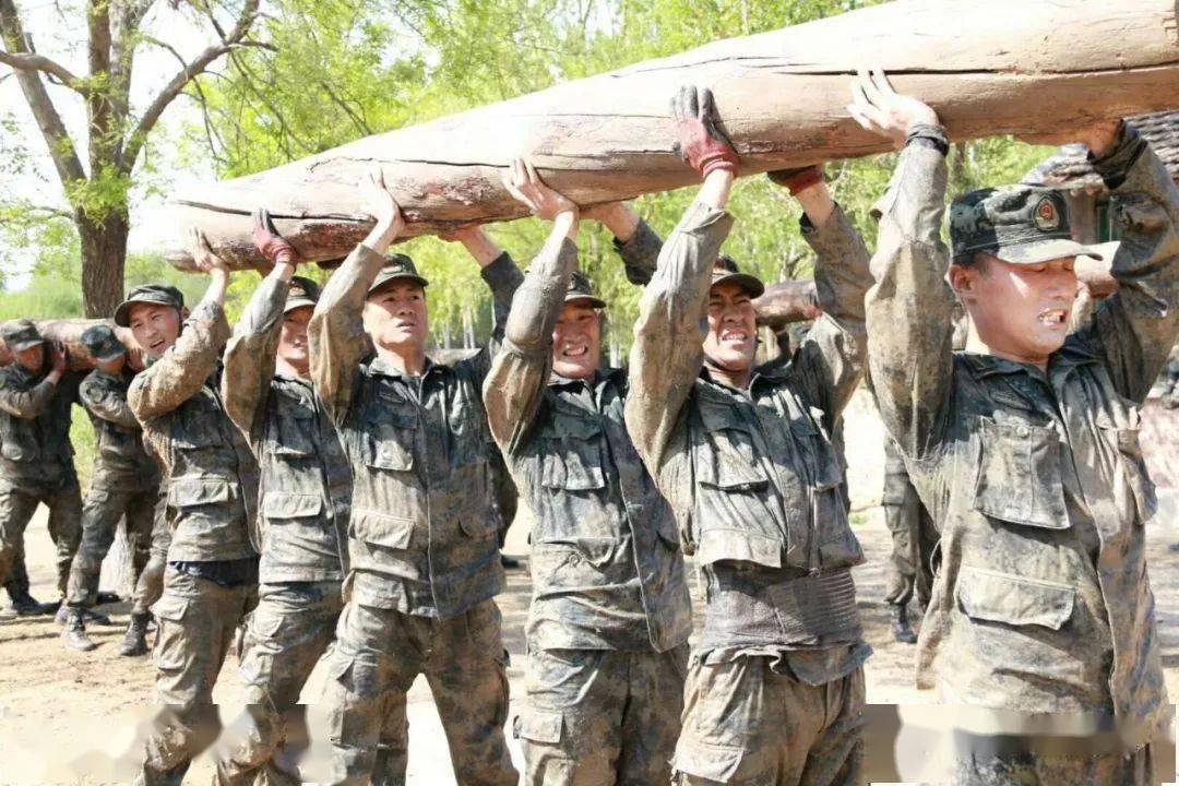 中国武警特种警察学院排名及其影响力探讨，中国武警特种警察学院排名与影响力深度探讨