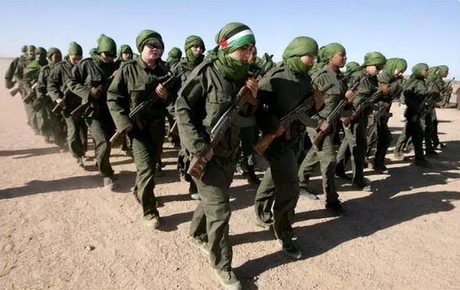非洲女兵阅兵图片，展现力量与荣耀的瞬间，非洲女兵阅兵瞬间，力量与荣耀的展现