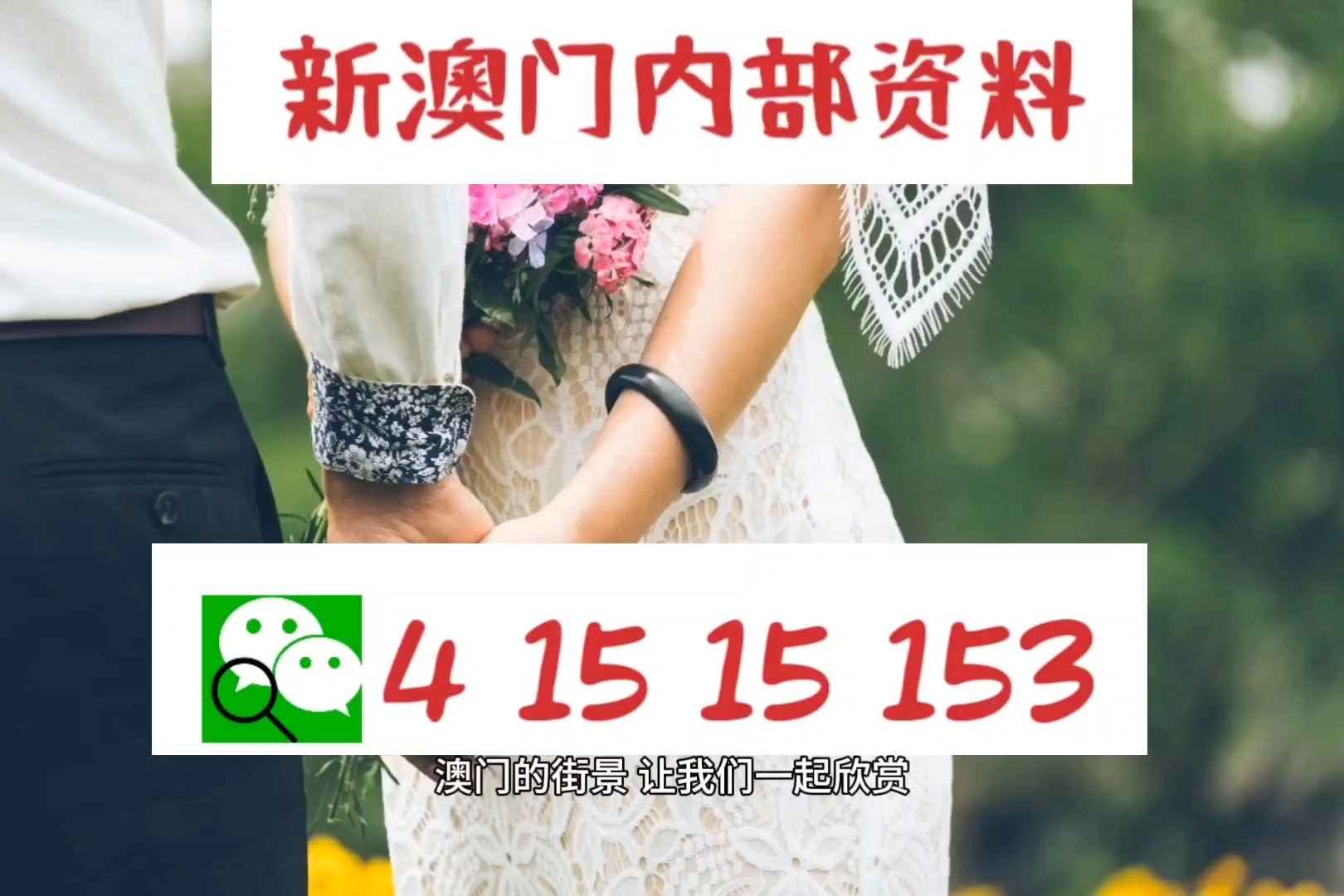 澳门资料大全与正版资料查询，探索澳门的深度知识，澳门深度知识探索，资料大全与正版资料查询