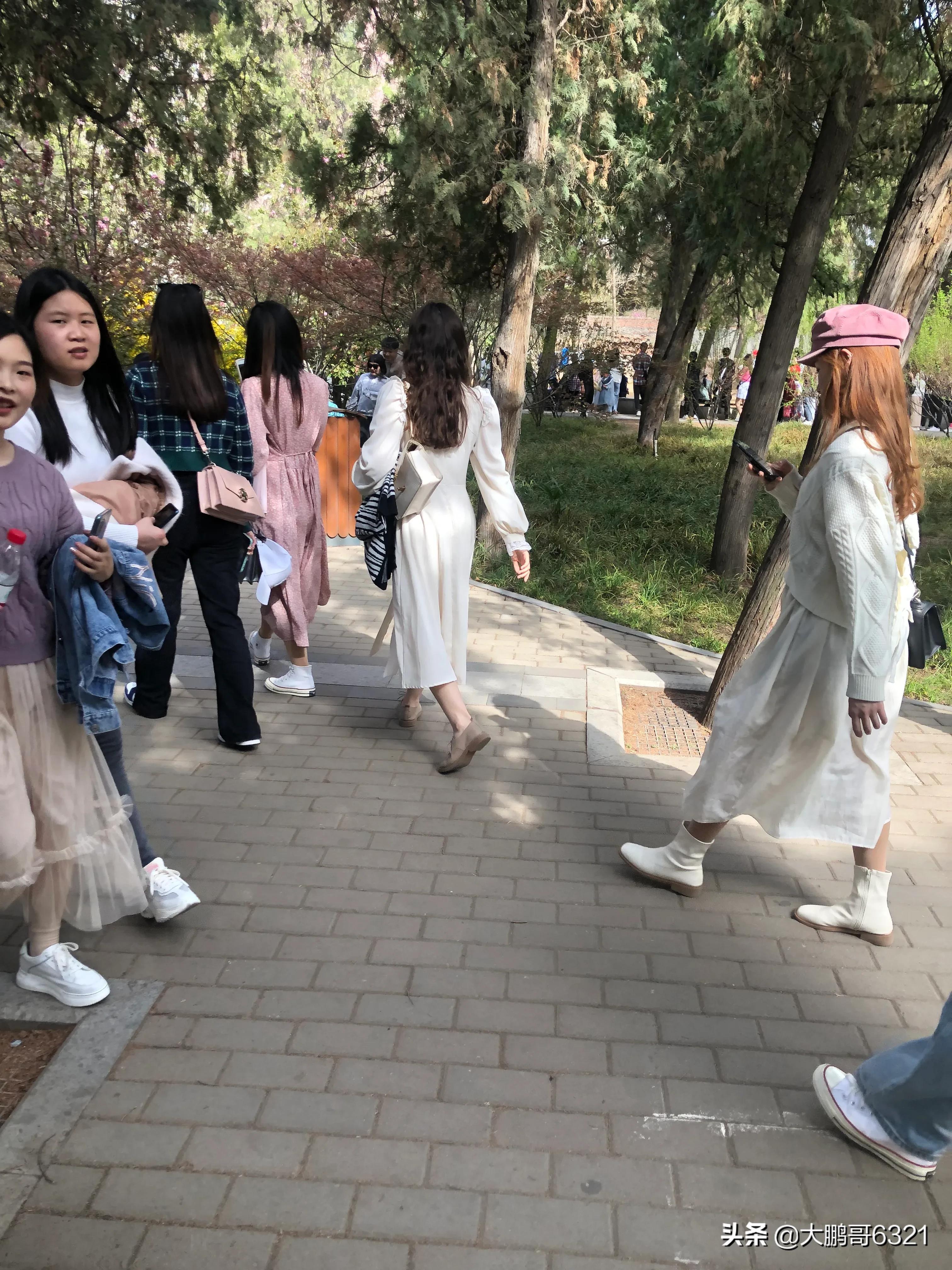 今天气温多少度？探寻城市中的温度变迁与感受，今日气温揭秘，城市温度变迁与体感探究