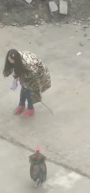 战争传闻