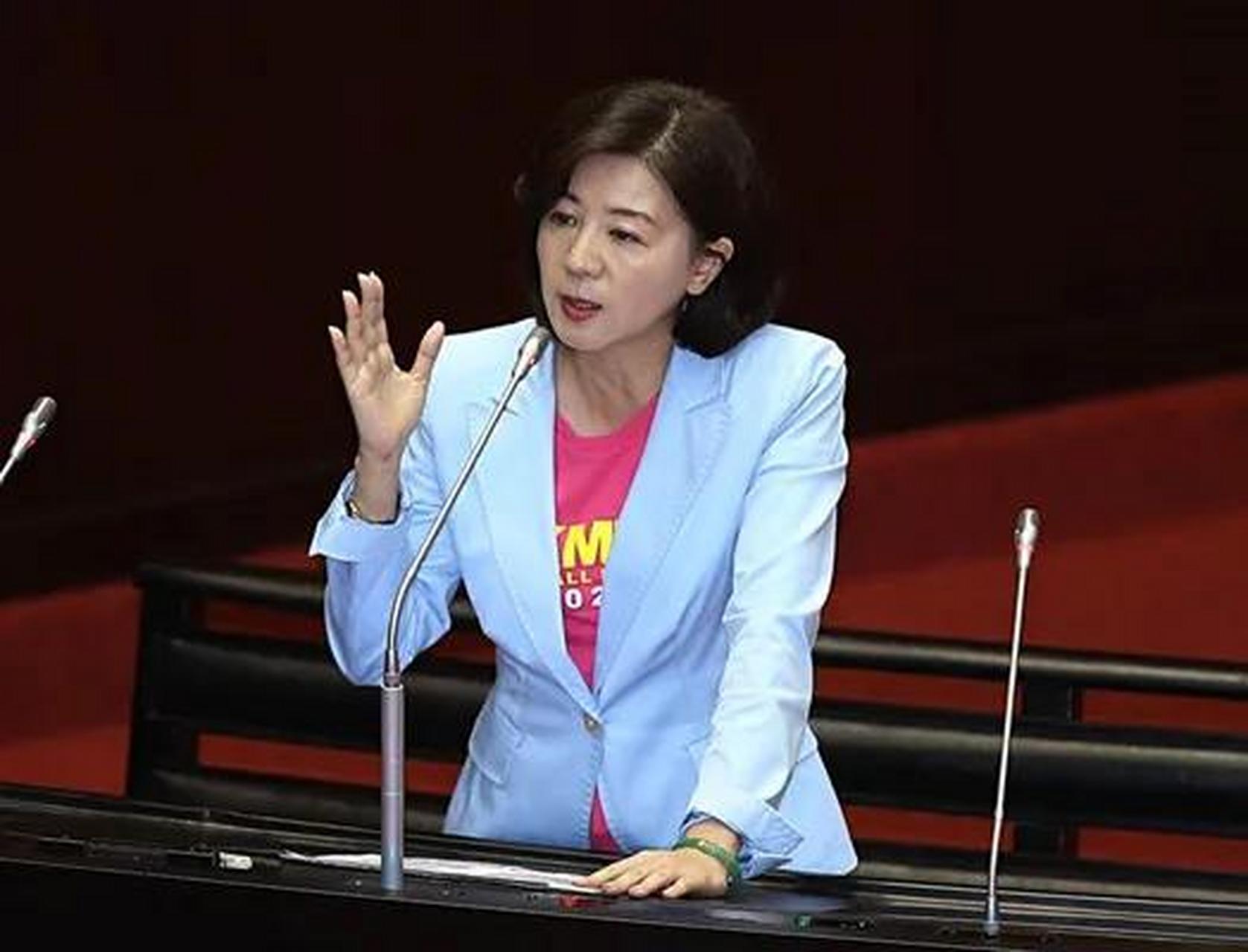 国民党最漂亮女立委，林心如的风采与影响力，国民党最美女立委林心如，风采与影响力闪耀政坛